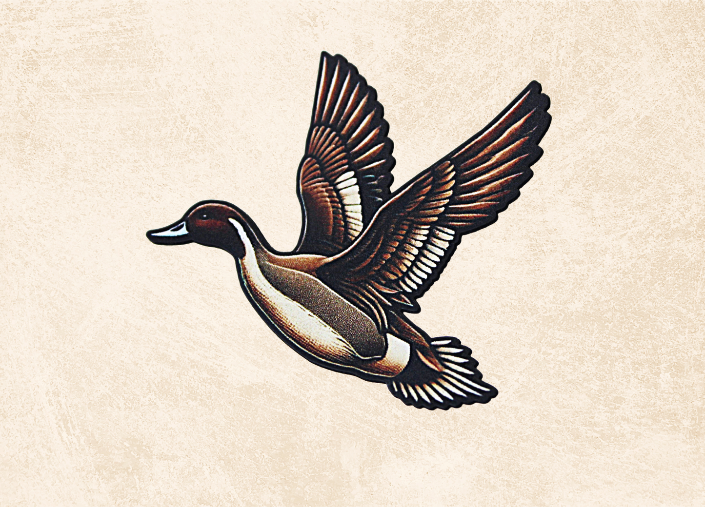 Brown flying duck
