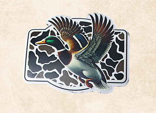 Flying Mallard over Camo